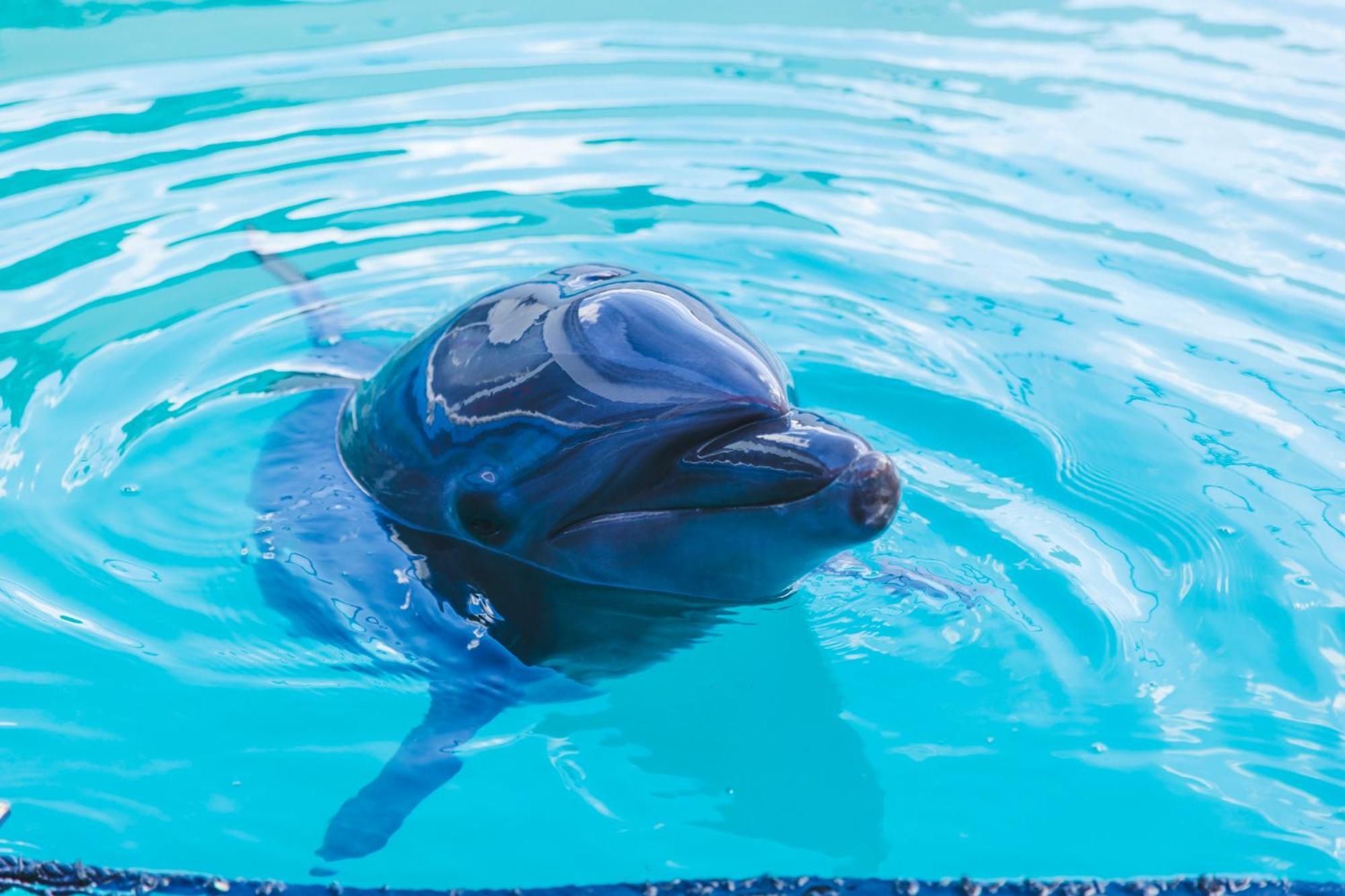 Grand Mercure Ise-Shima Resort & Spa エクステリア 写真
